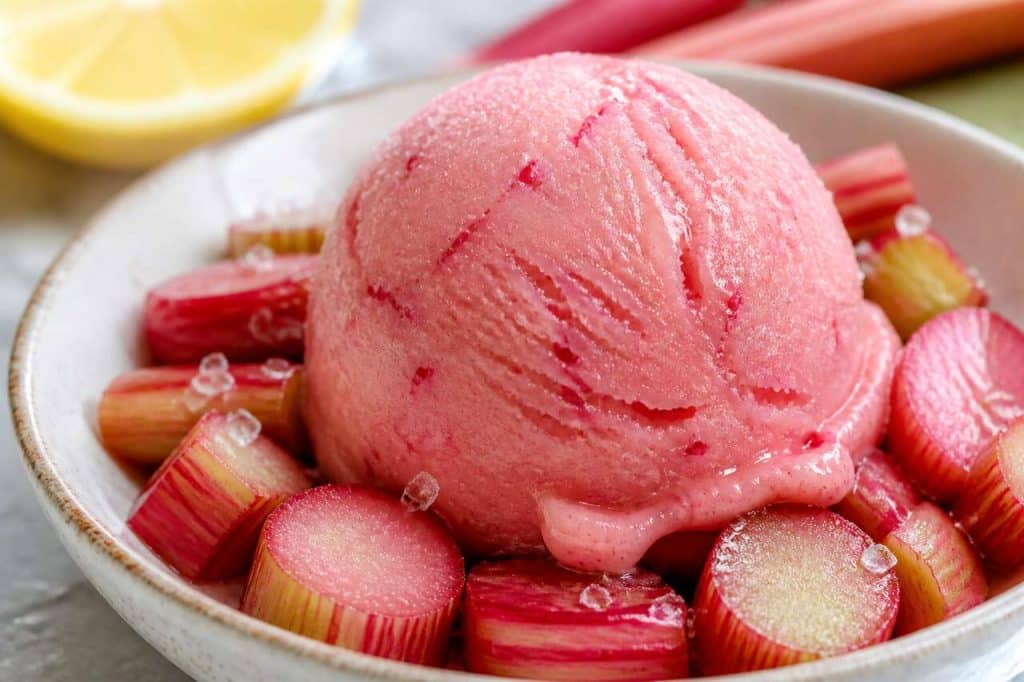 Recette de sorbet à la rhubarbe maison